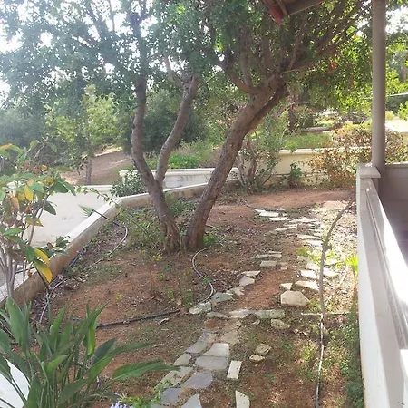 Spiros Vila