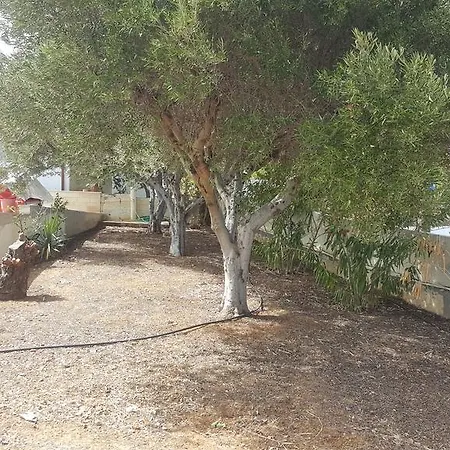 Spiros Vila